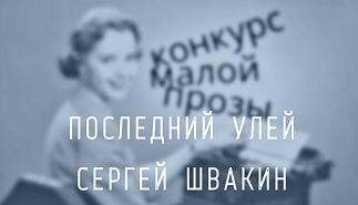 101. Последний улей. Сергей Швакин