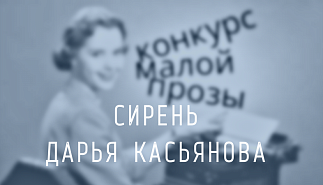 113. Сирень. Дарья Касьянова
