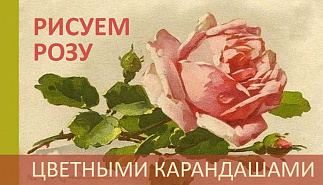 КультЛето: Мастер-класс "Роза цветными 
карандашами"