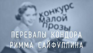 216. Перевалы Кондора. Римма Сайфуллина
