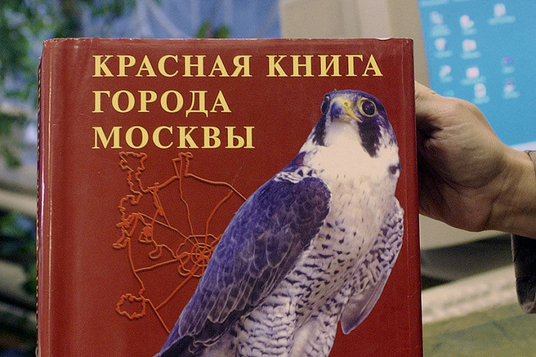 Лекция "Грибы и травы из Красной книги г. Москвы"